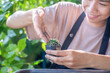 Close-up of cactus pot and hands with blurred Asian woman gardener preparing soil for transplanting cactus into new pot indoors at home while hobby activity, Seletive focus on cactuc pot, soft focus.
