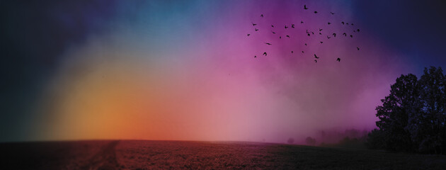 Poster - an autumnal landscape and fog