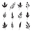 Set of leaf silhouette vector