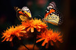 Two beautiful butterflies on flower close up