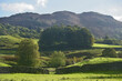 The small lake of Elterwater beneath the Langdale Pikes in the Lake District