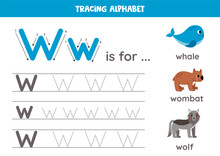 Tracing All Letters Of English Alphabet. Preschool Activity For Kids. Writing Uppercase And Lowercase Letter W. Printable Worksheet. Cute Illustration Of Whale, Wombat, Wolf.