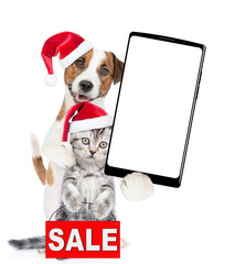 Poster - Happy Jack russell terrier puppy and funny cute kitten wearing santa hats standing together showing big smartphone with white blank screen in it paw. Cat shows signboard with labeled 