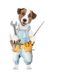 Poster - Funny Jack russell terrier puppy wearing denim overalls with tool belt holds wrench and points away on empty space. isolated on white background