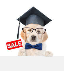 Poster - Smart Golden retriever puppy holds signboard with labeled 