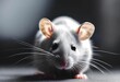 AI generated illustration of a gray rat with its ears perked up