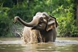 an elephant splashing water on its back with its trunk