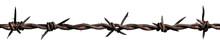 Barbed Wire Cut Out