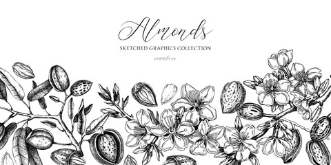 Almond background. Blooming branches, almond nuts, flowers, leaves sketches. Hand drawn vector illustration. Vintage floral design. Spring trees border