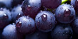 Top down view of red grapes with drops of water, Bunch of Pinot Noir grapes with drops of water on a dark background Generative AI

