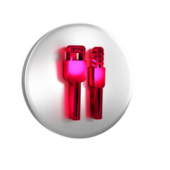 Poster - Red USB cable cord icon isolated on transparent background. Connectors and sockets for PC and mobile devices. Silver circle button.