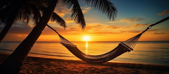 Wall Mural - Hammock on palm trees at sunset representing carefree freedom on a tropical beach Summer nature exotic shore Tranquil travel paradise Enjoy life positive energy Copy space image Place for addin