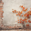 Fotografia con detalle de pared antigua con hojas de colores de otoño
