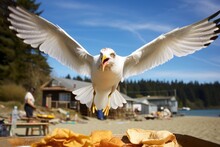 A Seagull Swooping Down To A Chip From A Beach Picnic