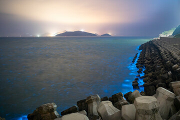 Blue tears Noctiluca scintillans. Photographed in Matsu, Taiwan