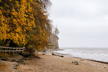 Wall Mural - cliff in Gdynia Orłowo in autumn