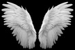 Two white angel wings isolated on black background