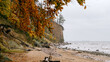 cliff in Gdynia Orłowo in autumn