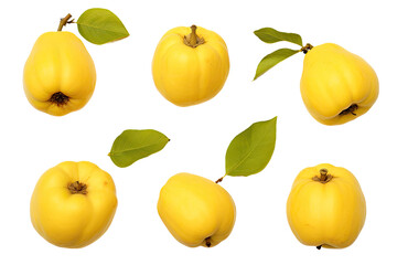 Wall Mural - a collection of quince isolated on a transparent background, generative ai
