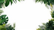 A white background with tropical leaves