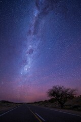 Wall Mural - a road leading into the middle of a field under a purple sky