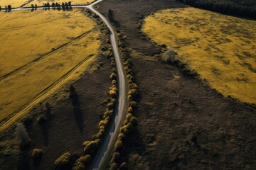 Canvas Print - Aerial view of a road in the middle of a yellow field, Road in the countryside of Waikato aerial drone view, AI Generated