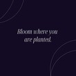 © Crox Studio - Daily Life Quotes, Quotes Of The Day, Positive Thoughts, Inspirational Word, Daily Motivation, To Keep You Motivated Every Day.