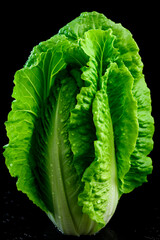 Wall Mural - Lettuce salad on a black background. Generative AI,