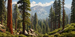 an elevated view of giant sequoia trees in a forest. ai generative