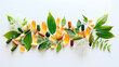 © yanadjan - Supplements vegetable capsules and leaves isolate on a white background. Generative AI,