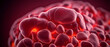 Blut Zellen runde rote Blutkörperchen entzündet befallen zerstört makro mikroskopisch Adern Venen Krankheiten Krebs Blutkrebs Forschung Medizin Behandlung Therapie Wissenschaft Pharmazie 