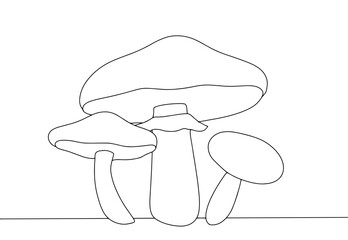 Canvas Print - Suillus. One line