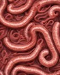 Close-up of intestinal worms and parasites in the human digestive tract, abstract image