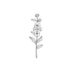 Wall Mural - Minimalist linear jasmine flower branch. Small ornamental floral element, fine line botanical tattoo sketch. Vector design