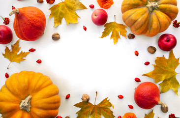Wall Mural - pumpkin, acorns, red berries, apples and autumnal colorful maple leaves on a white background with s