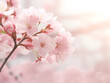 A delicate pink cherry blossom background symbolizing spring and renewal with a soft poetic feel.