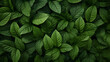 green natural background pattern, wallpaper background, pattern background