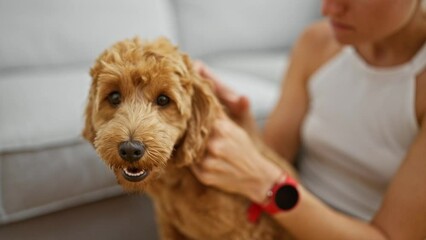 Wall Mural - Young caucasian woman with dog sitting on floor examining ear at home