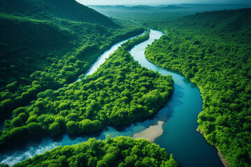 Wall Mural - Aerial view of the Amazonas jungle landscape with river bend.