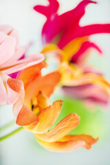 Wall Mural - colorful tulips in the vase