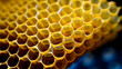 bees on honeycomb HD 8K wallpaper Stock Photographic Image 