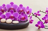 Fototapeta Panele - Orchid and stones