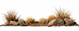 Fototapeta  - desert scene cutout, dry plants with rocks, isolated on white background banner, Generative AI