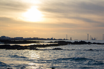 Canvas Print - Evening scenery of the sea illuminated by the sun