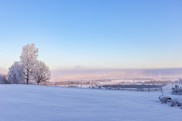 Canvas Print - Winter landscape view a cold day