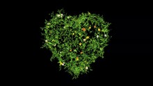 Heart Shape With Grass And Colorful Flowers On Plain Black Background