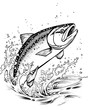 Salmon jumping out of the water during spawning. Coloring template. Edited AI illustration.