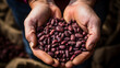 close-up of red beans in hands.Generative AI