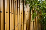 Fototapeta Sypialnia - detail shot of a bamboo and corrugated iron wall