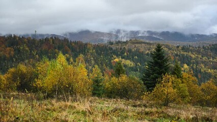 Wall Mural - Picturesque landscape in the autumn mountains. Red beech forest covers the Carpathian hills in the fall season. Time lapse UHD 4k video